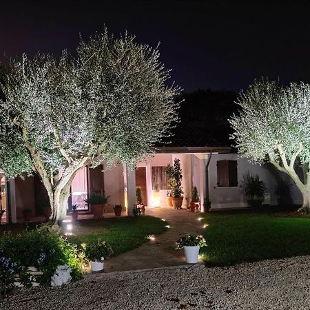B&B Flavio E Catia Marotta Exteriér fotografie