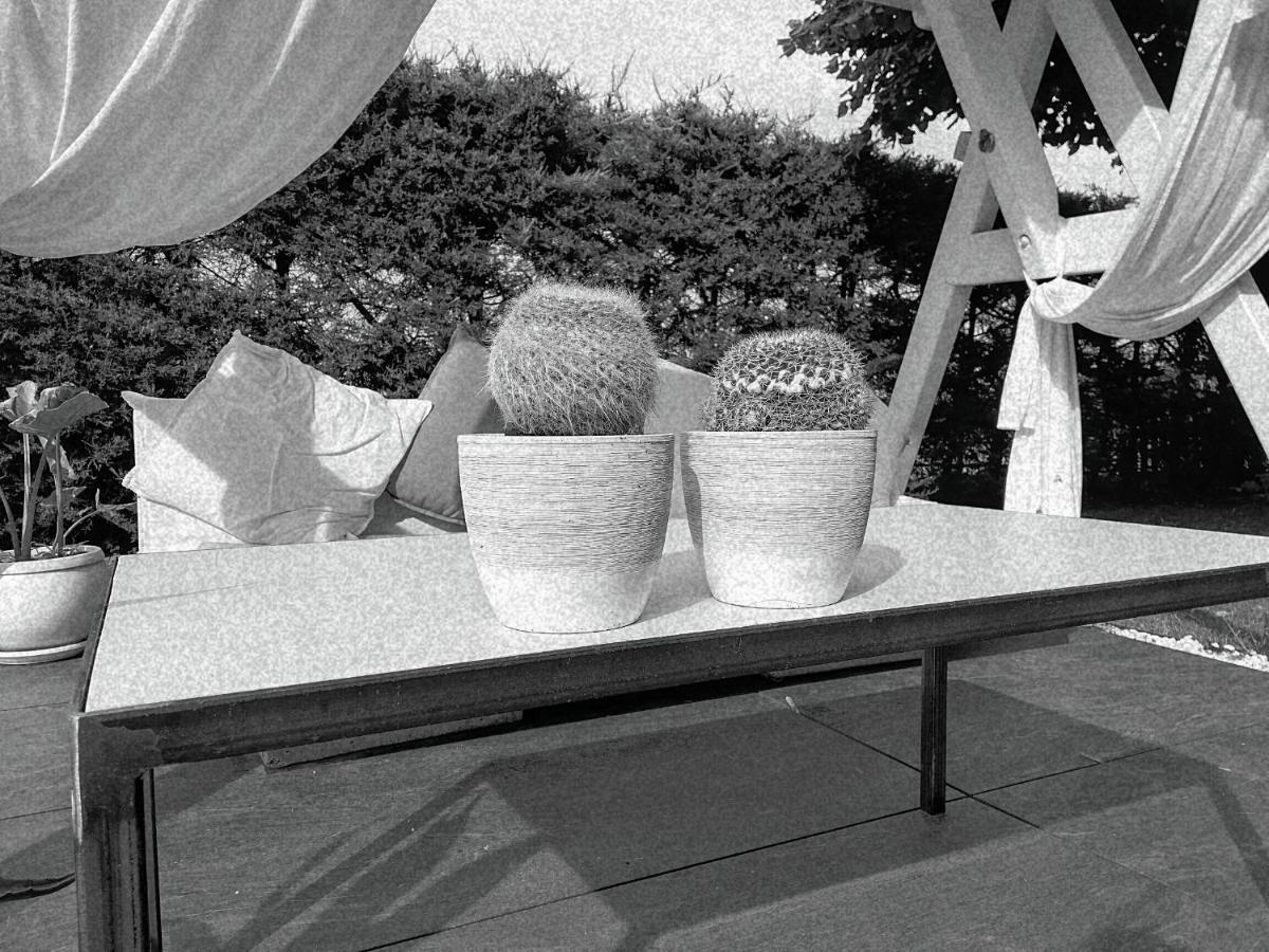 B&B Flavio E Catia Marotta Exteriér fotografie