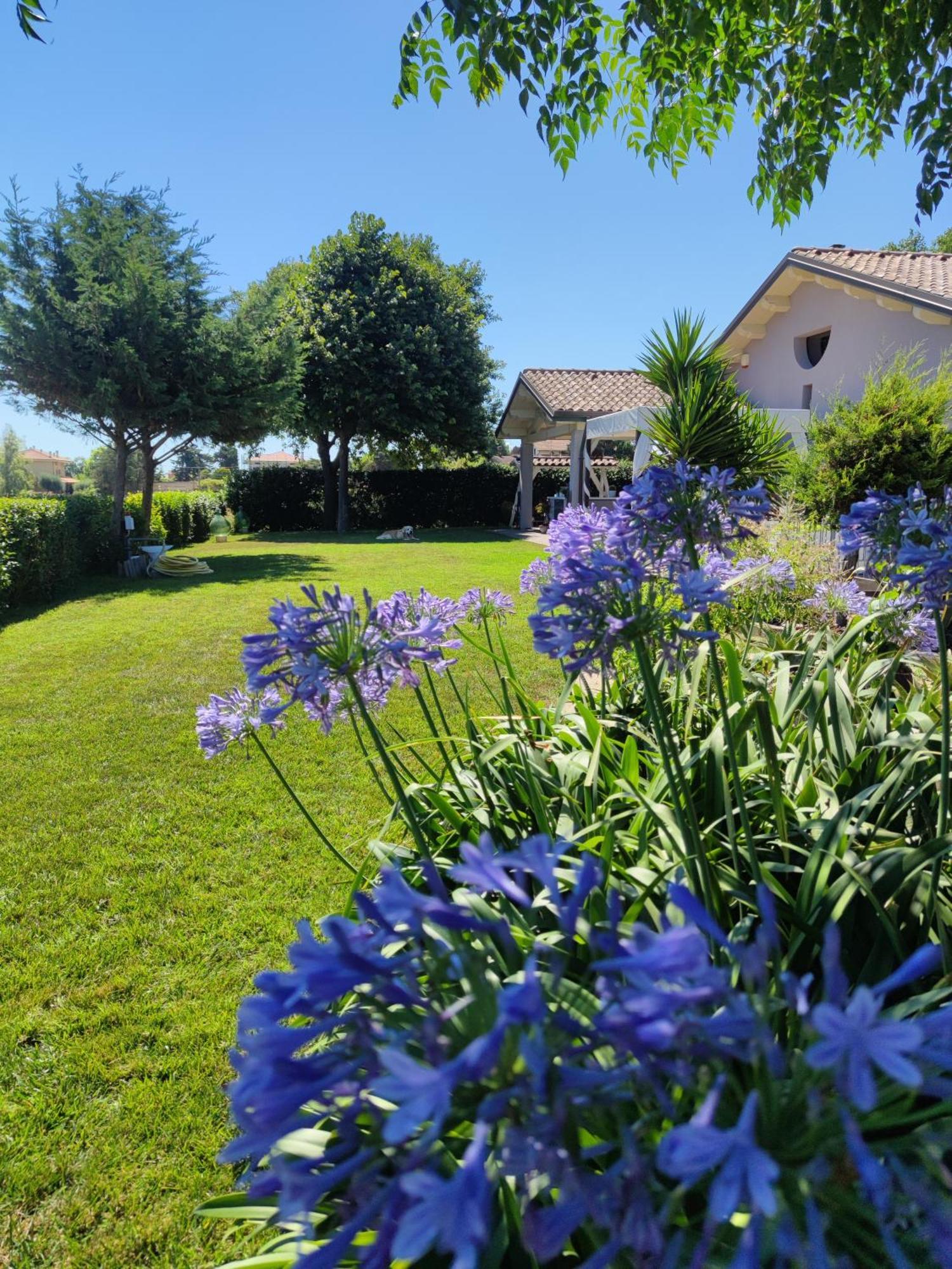 B&B Flavio E Catia Marotta Exteriér fotografie